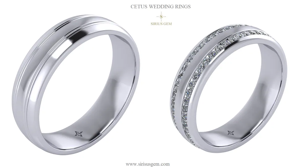Cetus Men’s Wedding Ring — view 3